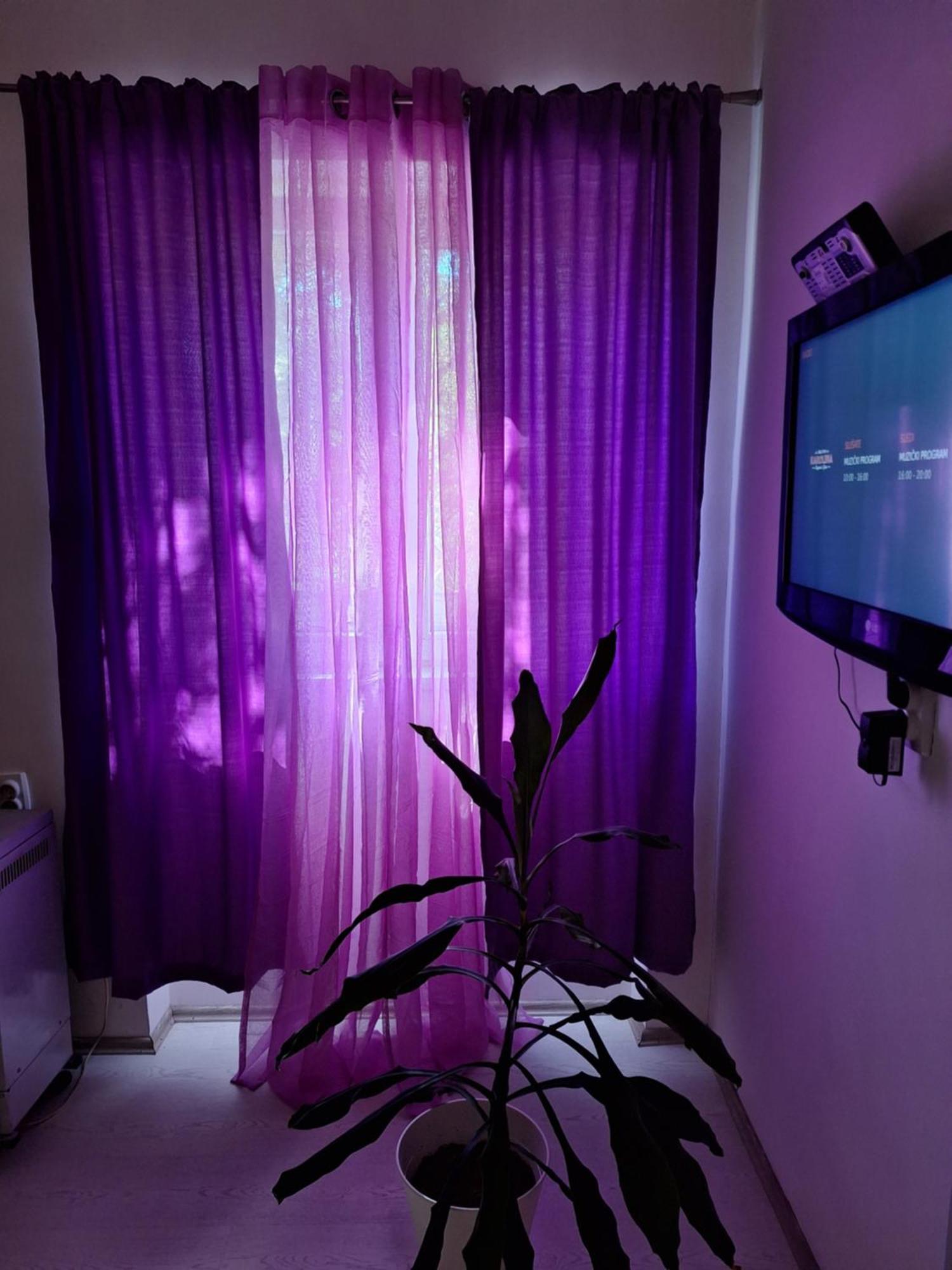 Apartman Maja Beograd Eksteriør bilde