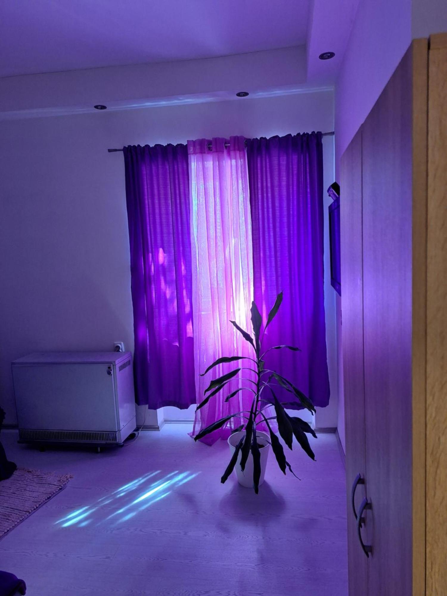 Apartman Maja Beograd Eksteriør bilde